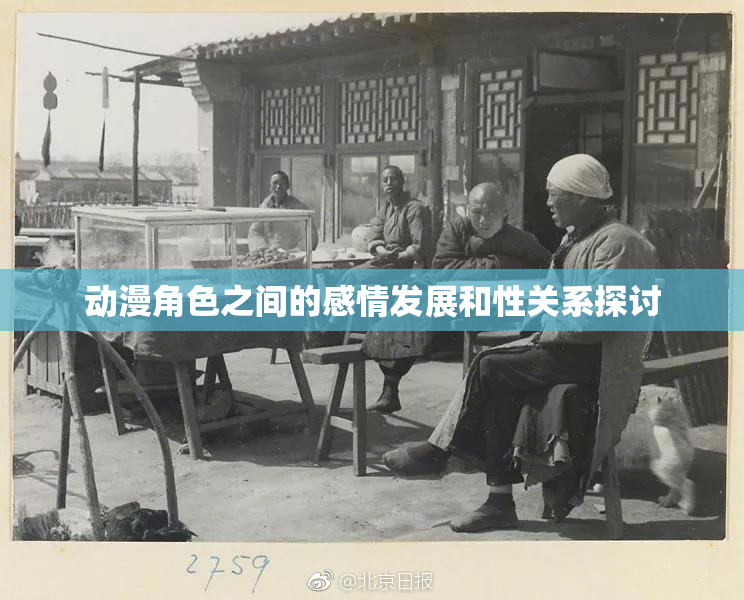 动漫角色之间的感情发展和性关系探讨