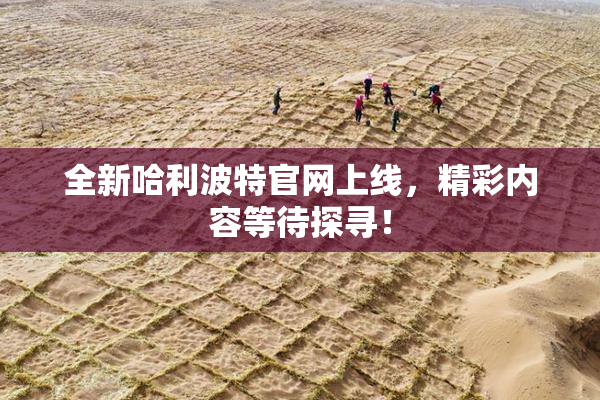全新哈利波特官网上线，精彩内容等待探寻！