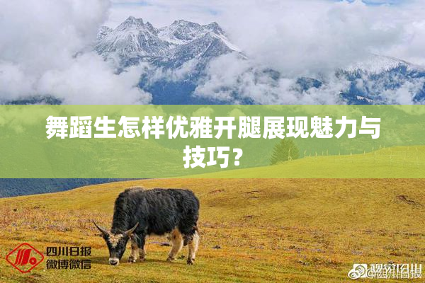 舞蹈生怎样优雅开腿展现魅力与技巧？
