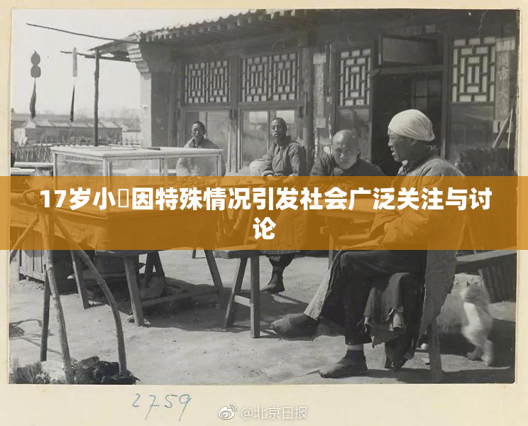 17岁小泬因特殊情况引发社会广泛关注与讨论