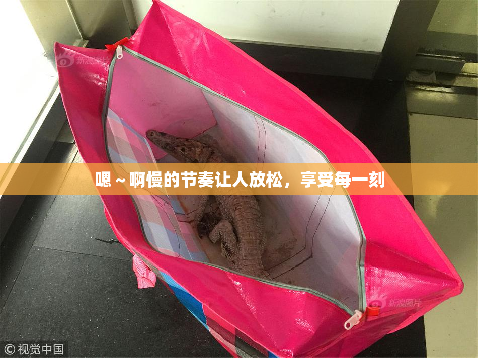 嗯～啊慢的节奏让人放松，享受每一刻