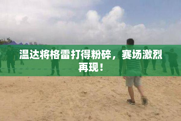 温达将格雷打得粉碎，赛场激烈再现！