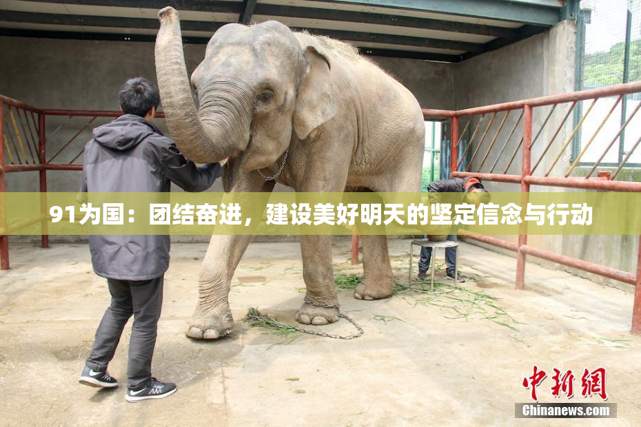 91为国：团结奋进，建设美好明天的坚定信念与行动