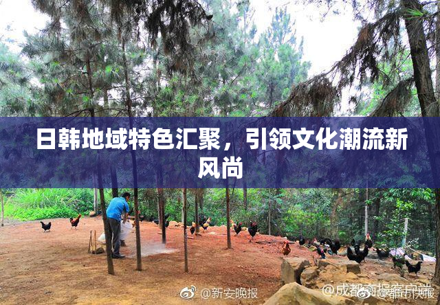 日韩地域特色汇聚，引领文化潮流新风尚