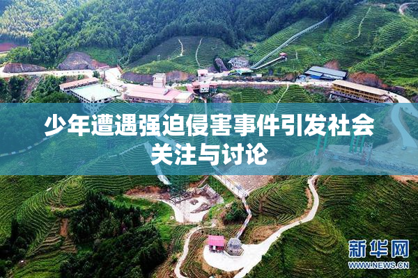 少年遭遇强迫侵害事件引发社会关注与讨论
