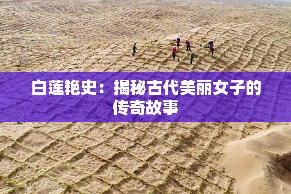 白莲艳史：揭秘古代美丽女子的传奇故事