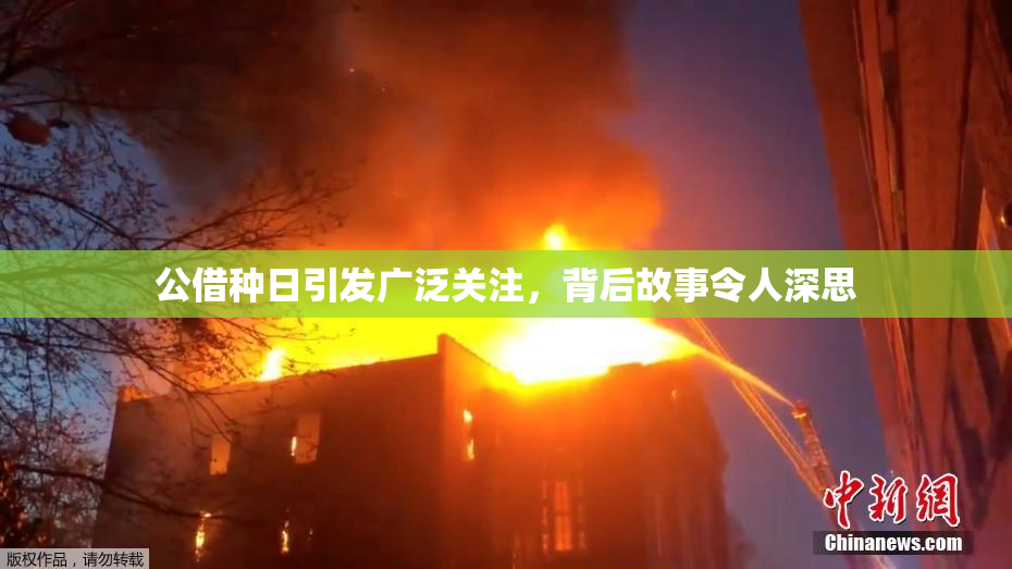 公借种日引发广泛关注，背后故事令人深思