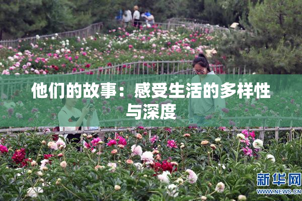 他们的故事：感受生活的多样性与深度
