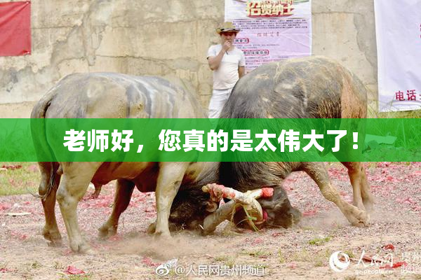 老师好，您真的是太伟大了！