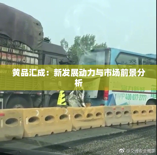 黄品汇成：新发展动力与市场前景分析