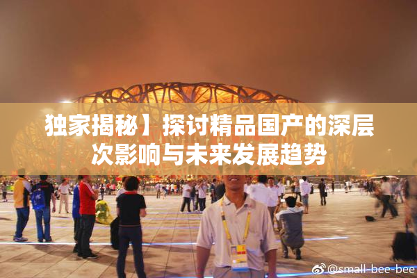 独家揭秘】探讨精品国产的深层次影响与未来发展趋势