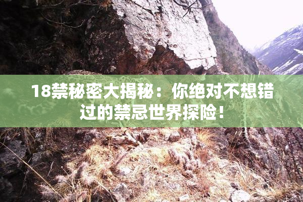 18禁秘密大揭秘：你绝对不想错过的禁忌世界探险！
