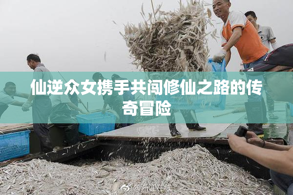 仙逆众女携手共闯修仙之路的传奇冒险