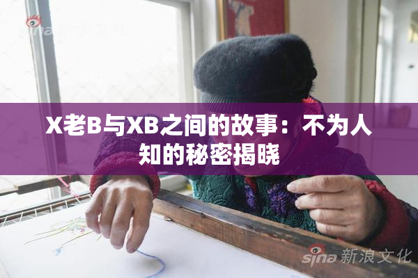 X老B与XB之间的故事：不为人知的秘密揭晓