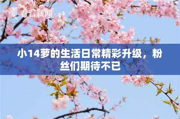 小14萝的生活日常精彩升级，粉丝们期待不已
