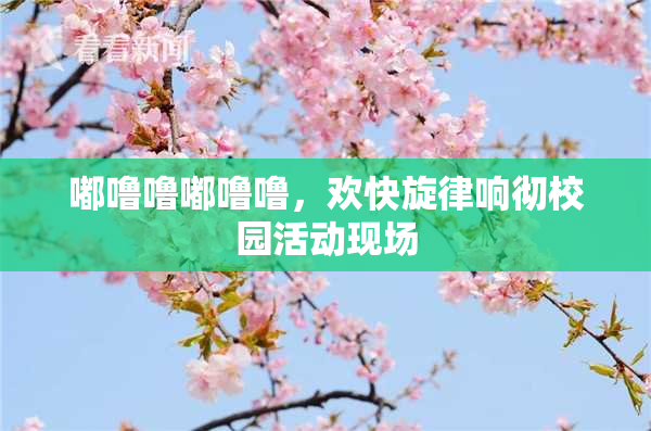 嘟噜噜嘟噜噜，欢快旋律响彻校园活动现场