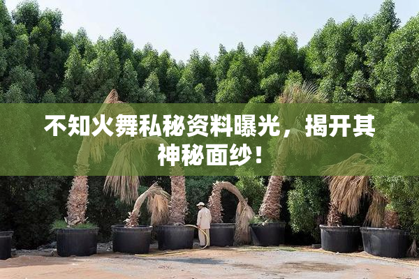 不知火舞私秘资料曝光，揭开其神秘面纱！