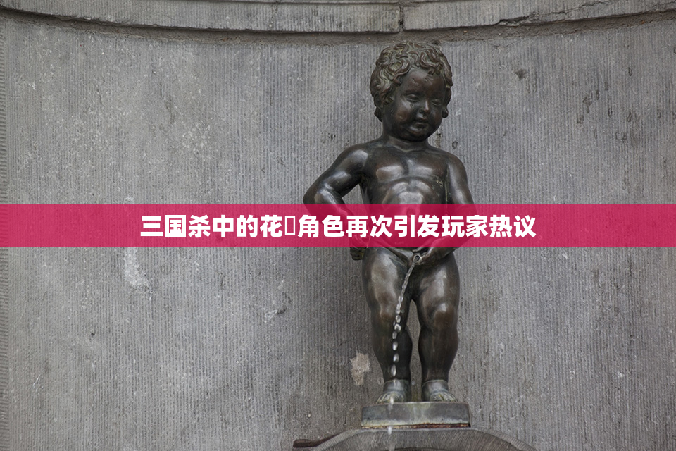 三国杀中的花鬘角色再次引发玩家热议