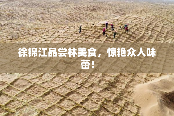 徐锦江品尝林美食，惊艳众人味蕾！