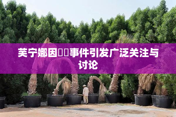 芙宁娜因❌‌事件引发广泛关注与讨论