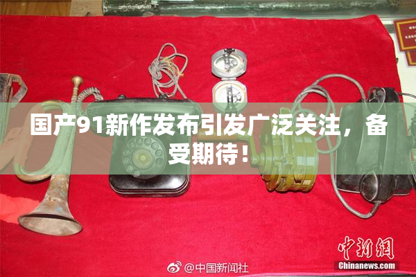 国产91新作发布引发广泛关注，备受期待！