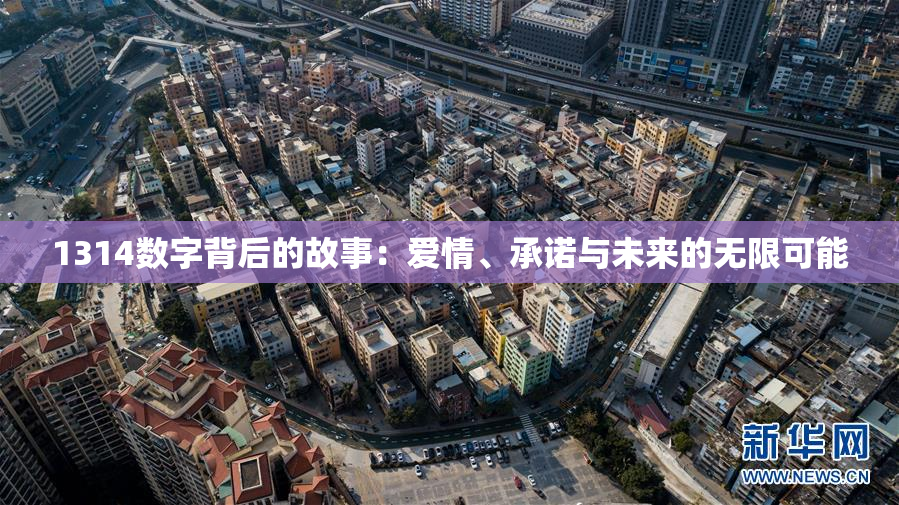 1314数字背后的故事：爱情、承诺与未来的无限可能