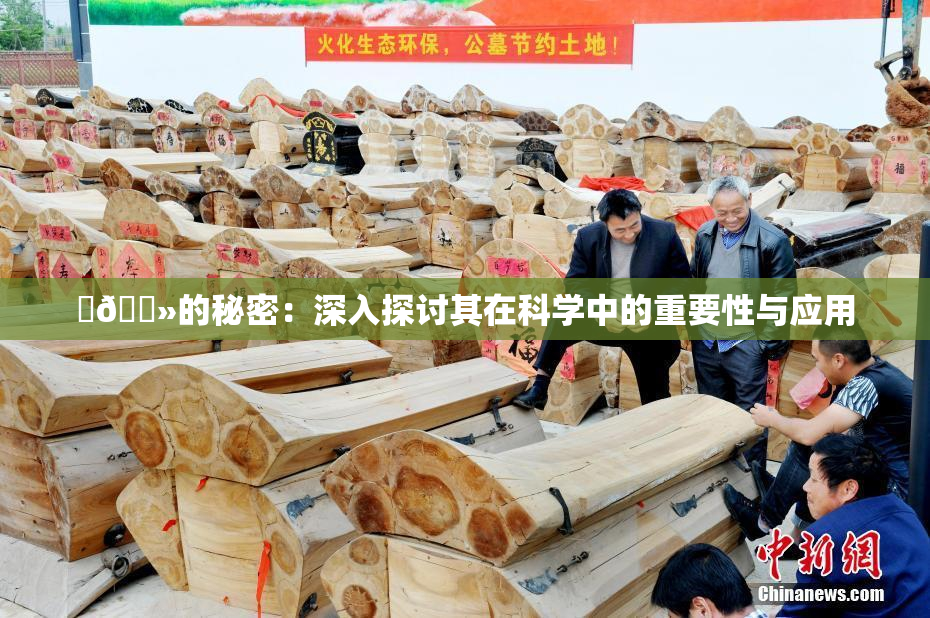 ‌🐻的秘密：深入探讨其在科学中的重要性与应用