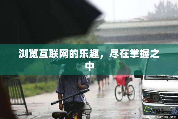 浏览互联网的乐趣，尽在掌握之中