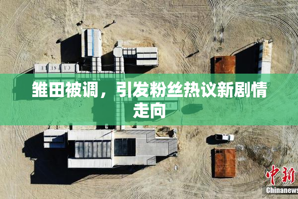 雏田被调，引发粉丝热议新剧情走向