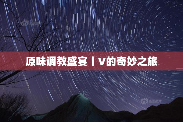 原味调教盛宴丨V的奇妙之旅