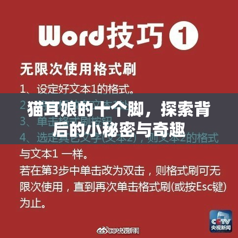 猫耳娘的十个脚，探索背后的小秘密与奇趣
