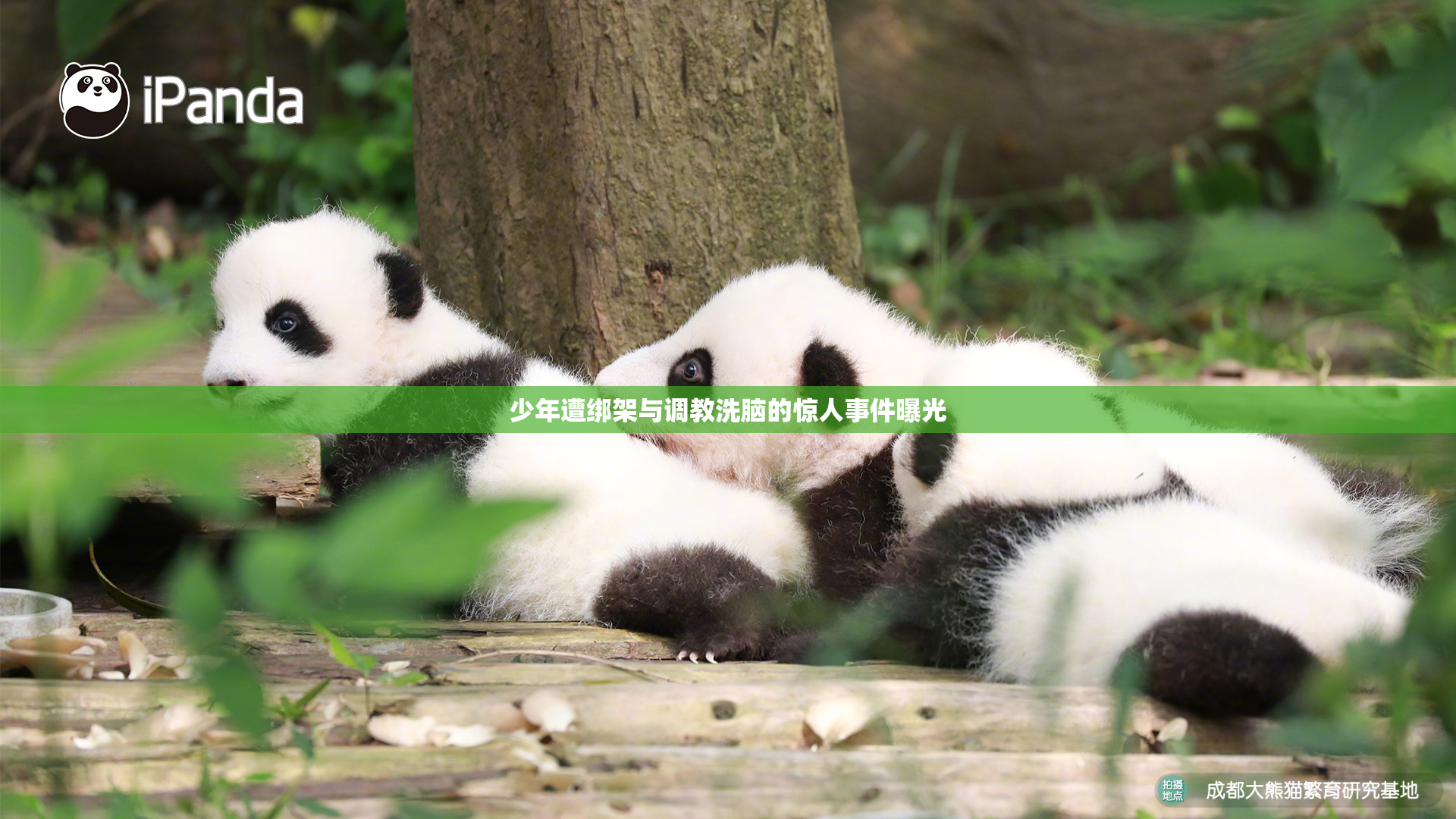 少年遭绑架与调教洗脑的惊人事件曝光