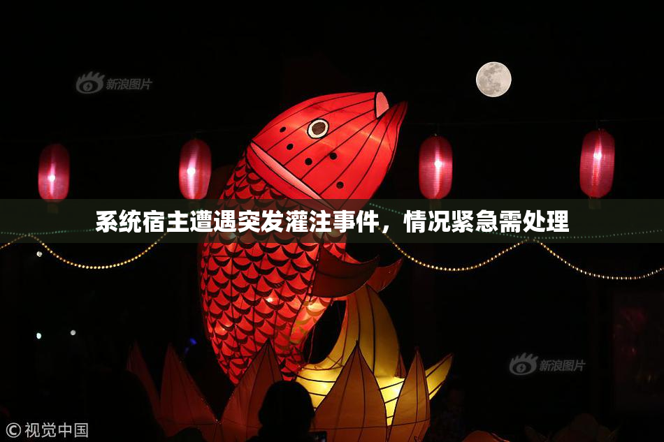 系统宿主遭遇突发灌注事件，情况紧急需处理