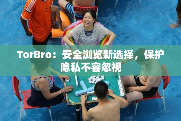 TorBro：安全浏览新选择，保护隐私不容忽视