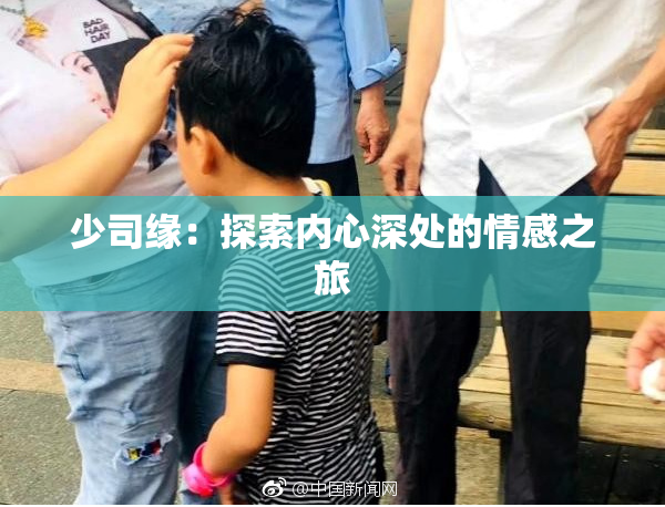 少司缘：探索内心深处的情感之旅
