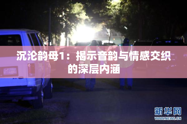 沉沦韵母1：揭示音韵与情感交织的深层内涵