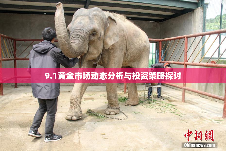 9.1黄金市场动态分析与投资策略探讨