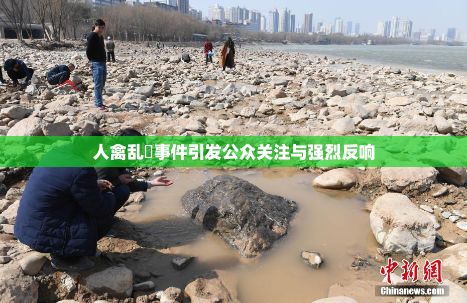 人禽乱婬事件引发公众关注与强烈反响