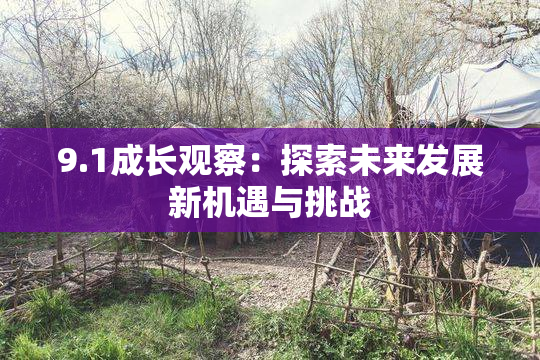 9.1成长观察：探索未来发展新机遇与挑战