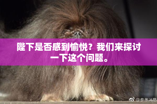 陛下是否感到愉悦？我们来探讨一下这个问题。