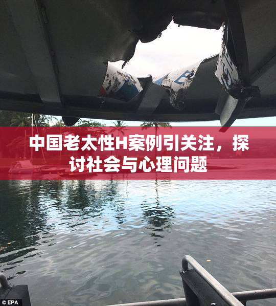 中国老太性H案例引关注，探讨社会与心理问题