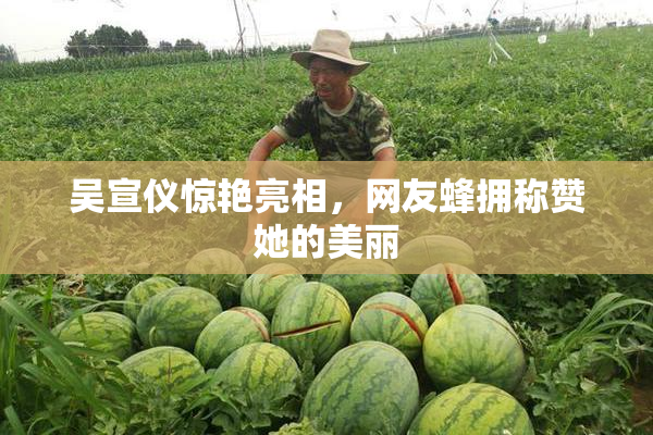 吴宣仪惊艳亮相，网友蜂拥称赞她的美丽