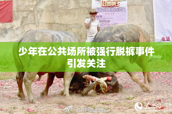 少年在公共场所被强行脱裤事件引发关注