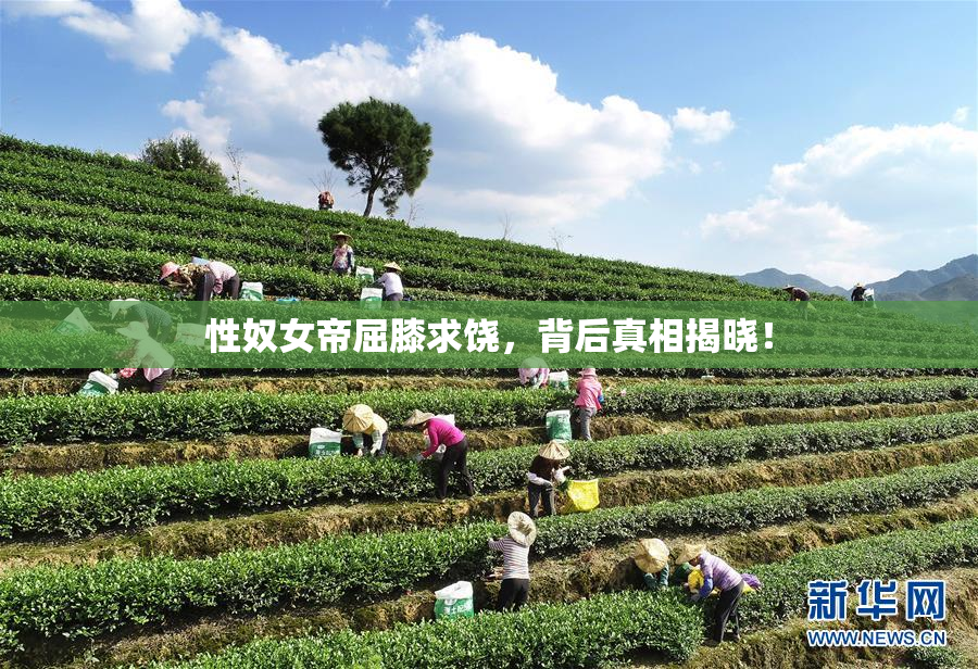 性奴女帝屈膝求饶，背后真相揭晓！