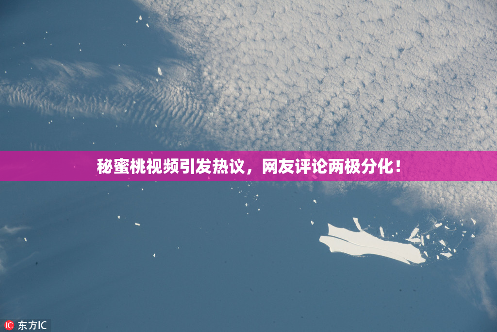 秘蜜桃视频引发热议，网友评论两极分化！