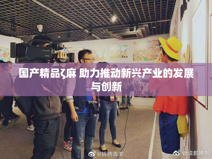 国产精品ζ麻 助力推动新兴产业的发展与创新