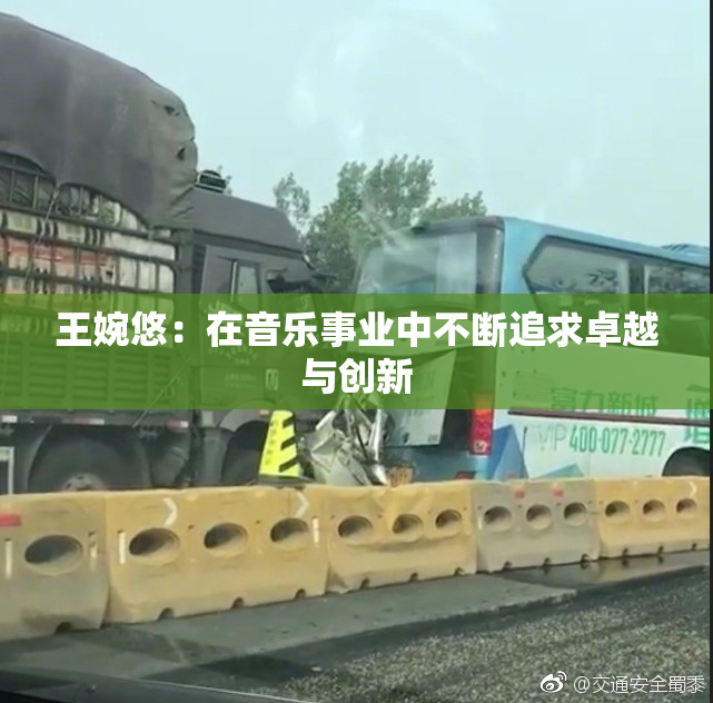 王婉悠：在音乐事业中不断追求卓越与创新