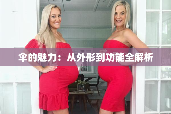 伞的魅力：从外形到功能全解析