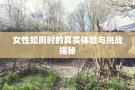 女性如厕时的真实体验与挑战揭秘