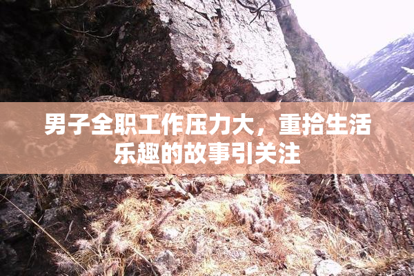 男子全职工作压力大，重拾生活乐趣的故事引关注